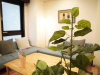 �y�{�݁z2�K���E���W