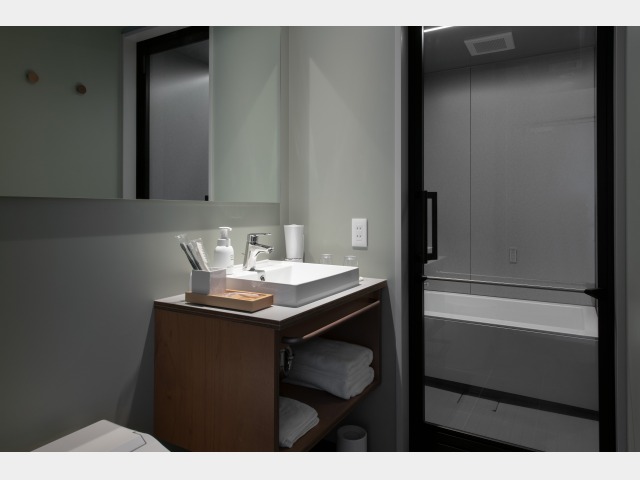 ���ʃT�j�^���[