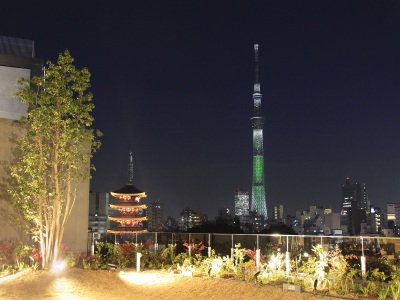 【5階庭園】