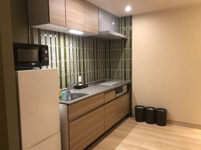 大きい部屋はシステムキッチン付き