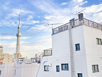 部屋からの眺望一例(ビュー付お部屋のみ)
