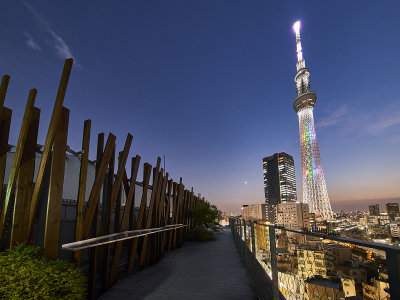 @rooftop｜東京スカイツリー®が映える黄昏時、きらめく街並みと美しく調和します。