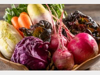 ���H�r���b�t�F�C���[�W