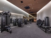 �t�B�b�g�l�X�W��