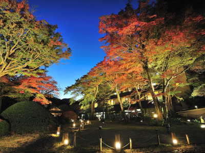 外観（イメージ）