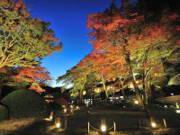 �O�ρi�C���[�W�j