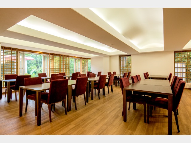 �o���P�b�g�_�C�j���O