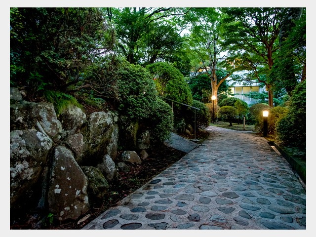 �뉀�i�[���j