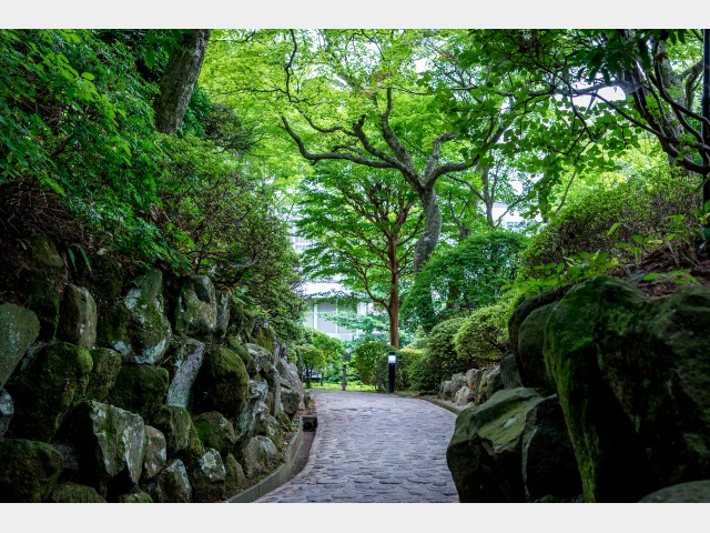 �����܂ł̒뉀