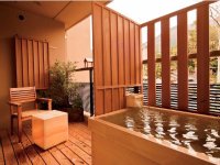 �q���I�V���C���