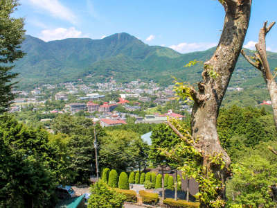 客室からの眺望