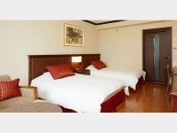 �X�^���_�[�h�c�C��