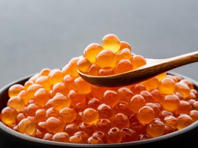 夕食ビュッフェ