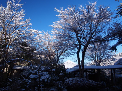 富士山を望む中庭