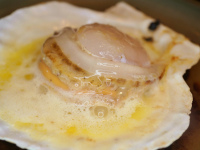 ���[�H�̈��i�k�t�������L�j