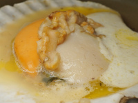 ���[�H�̈��i�����L�̃o�^�[�Ă��j