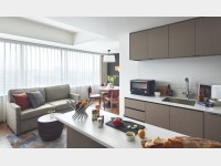 �Q�x�b�h���[��(���r���O���[��)