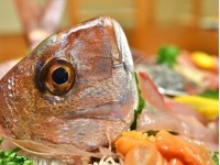 �v��������