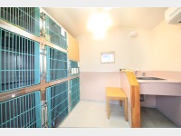 �y�b�h���[��