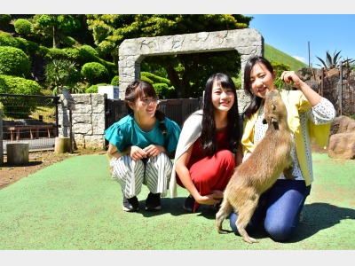 伊豆シャボテン動物公園