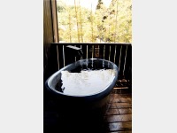 �q���I�V���C���