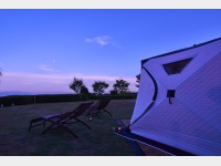 �T�E�i�e���g��ၦ�v���O�\��^���n����