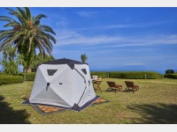 �T�E�i�e���g��ၦ�v���O�\��^���n����