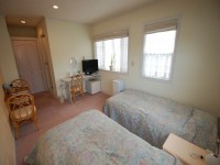 �R���c�C�����[���i208�����j