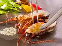 �[�H�S�Ĉ��