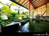 �뉀�t�I�V���C�q��12