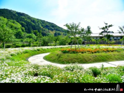 花と緑と桜の小径庭2