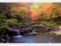 �뉀�i�g�t�@12����{���j