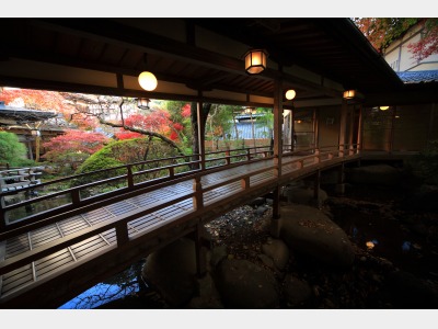 館内イメージ（渡りの橋）
