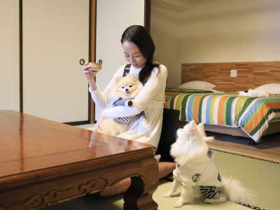 【39.5平米　和洋室ツインベッド】