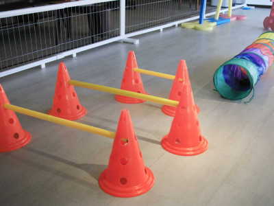 【屋内遊び場】アジリティ