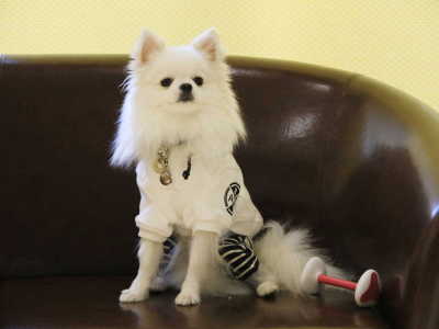 【ロビー】数か所のフォトスポット