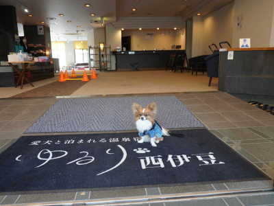 【ロビー】入り口