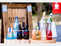 �I�v�V�������ݕ�