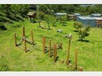 �v���C�G���A