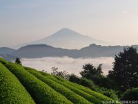 【観光スポット】清水区吉原