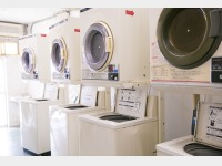 �R�C�������h���[�@�C���[�W