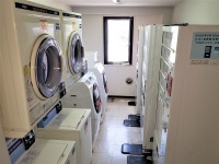 �R�C�������h���[