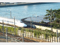 �q�����]�i�V�������j