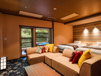 �y���̉��z���ʎ�