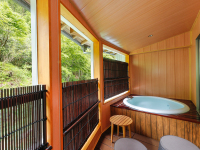 �y���̉��z���ʎ�