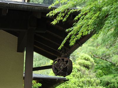 【周辺景観】緑豊かな自然に癒されます。