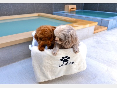 【ペットバスタブ】ワンちゃんも入浴することができます。ペットとご一緒にお寛ぎください。