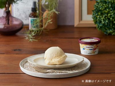 【追加オプション】ハーゲンダッツアイス　