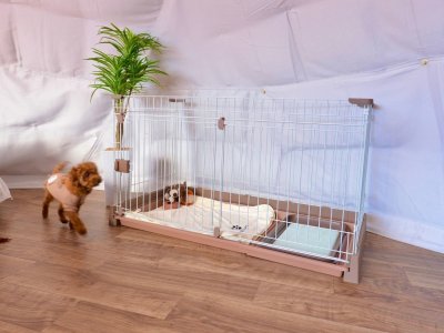 ペット同伴OK！部屋はペットケージもございます　