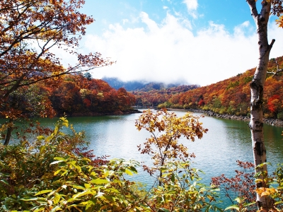 琵琶池の紅葉
